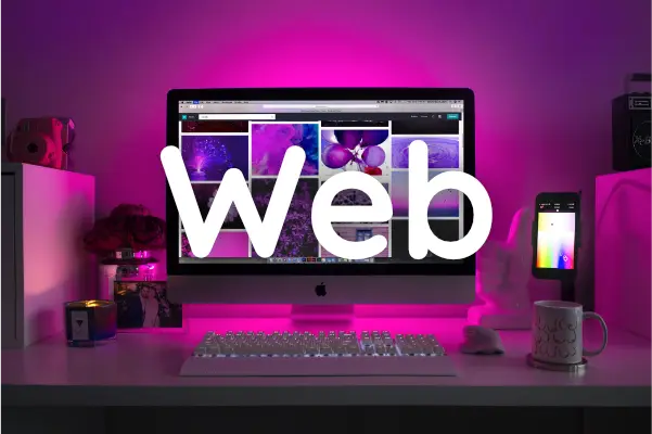 Web & IT